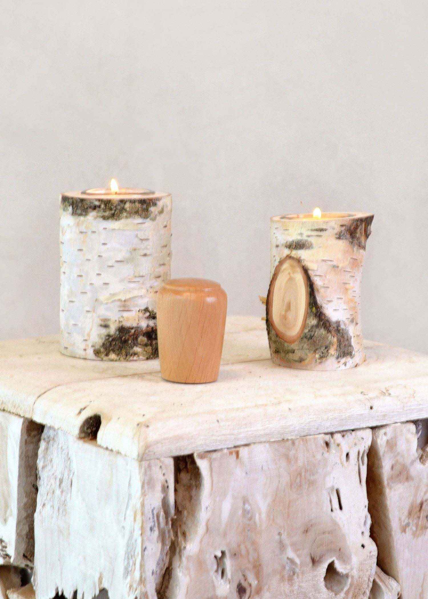 Bestattungsinstitut KOCH GmbH