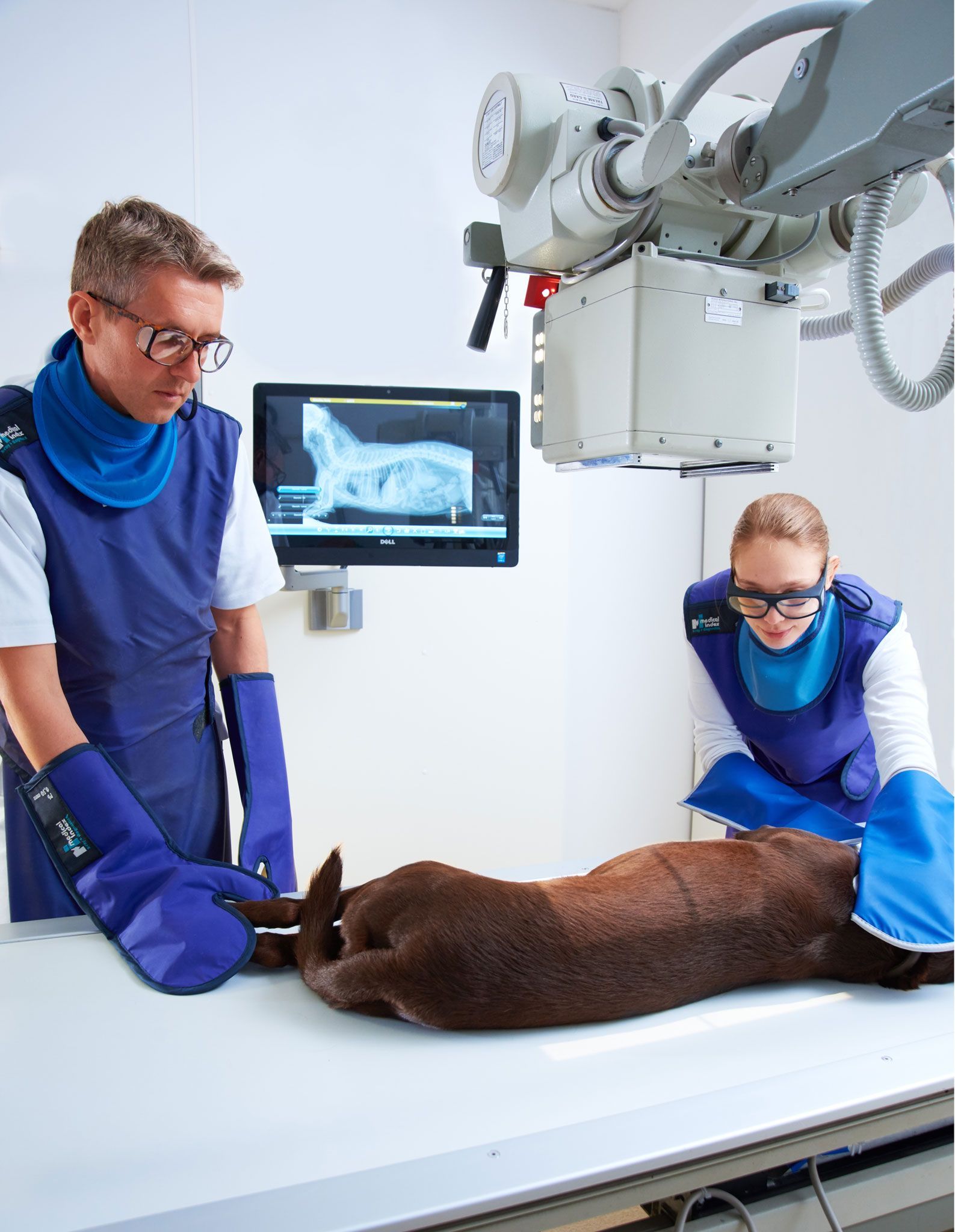 Ein Mann und eine Frau machen ein Röntgenbild von einem Hund.