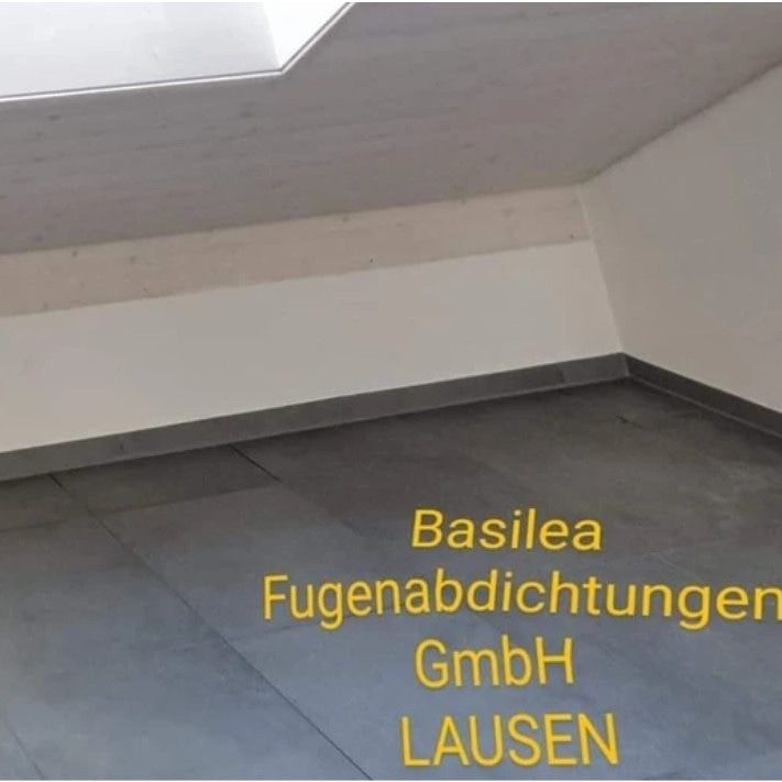 Ein leerer Raum mit den Worten Basilea GmbH Lausen auf dem Boden