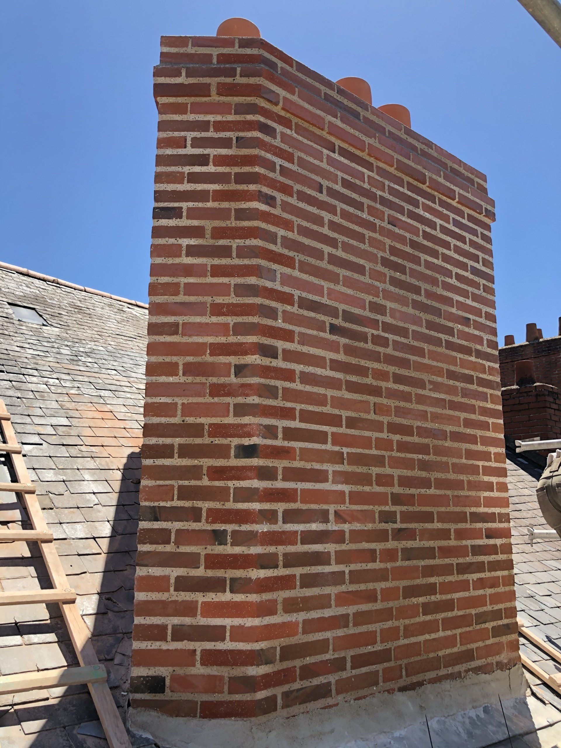 Rameau souche après travaux