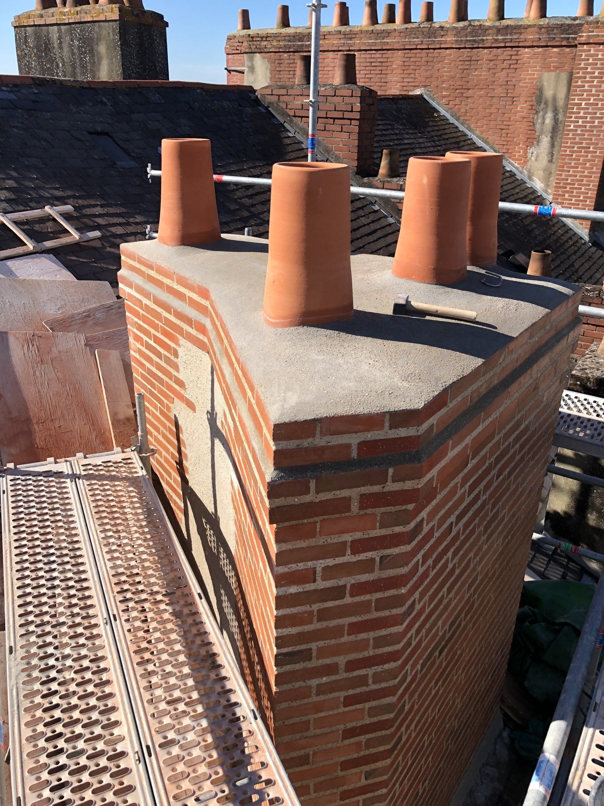 Rameau souche vu du dessus