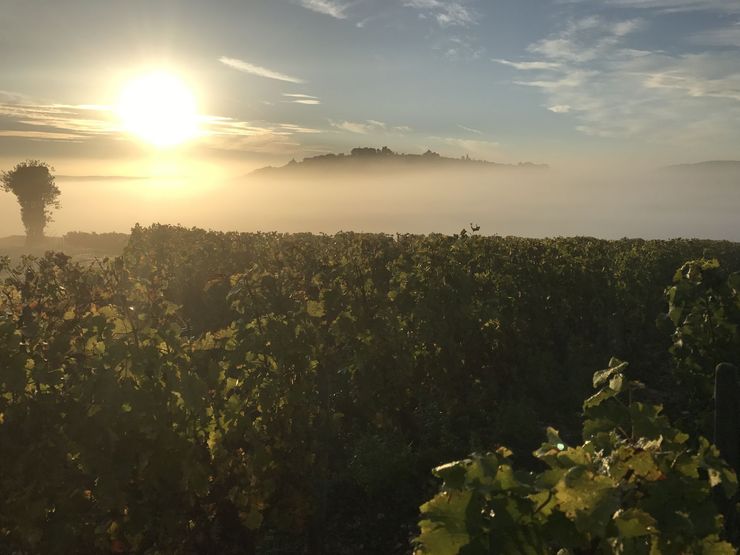 Sancerre vue des Bouffants.JPG