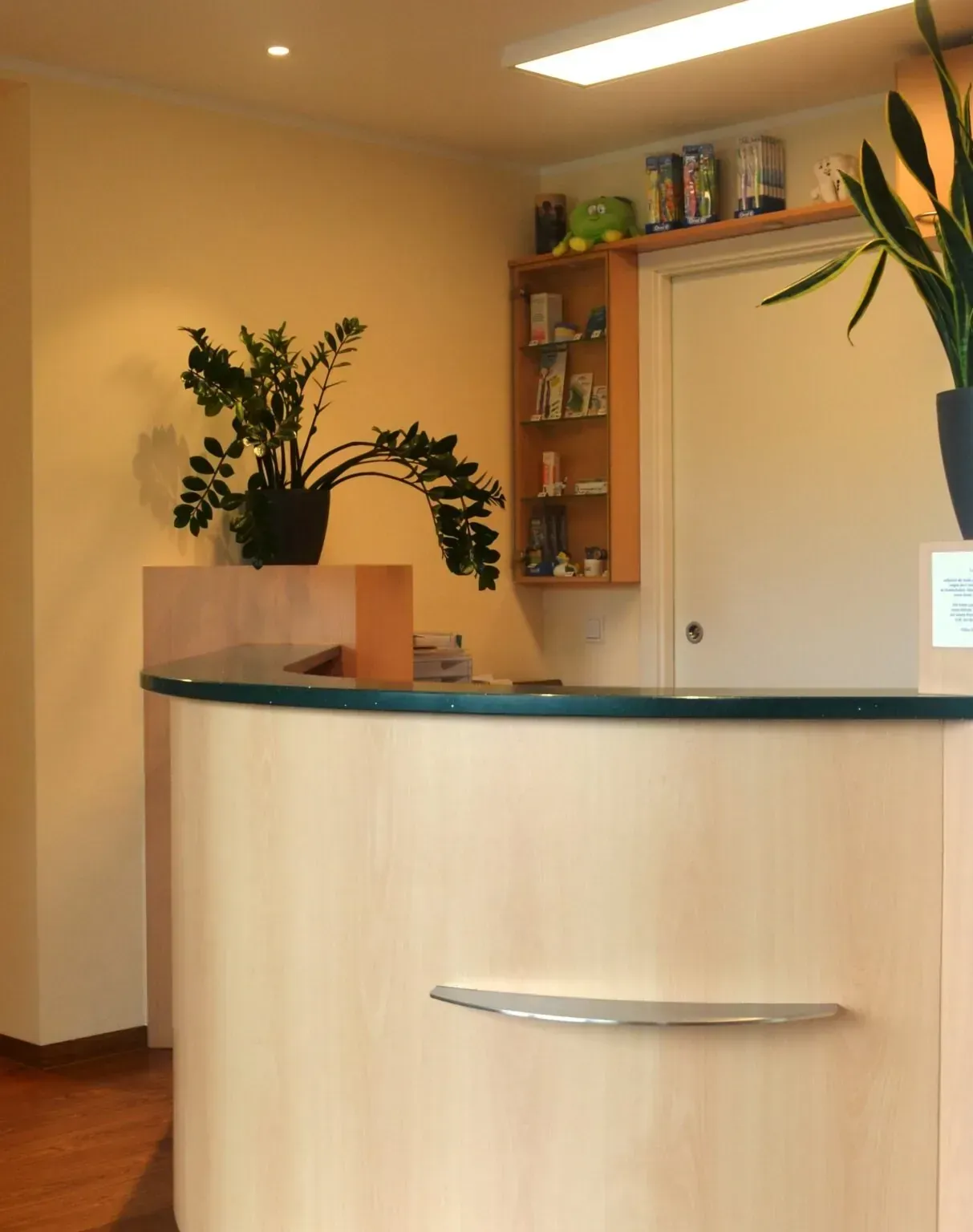 Kontrolle bei den Zähnen einer Frau