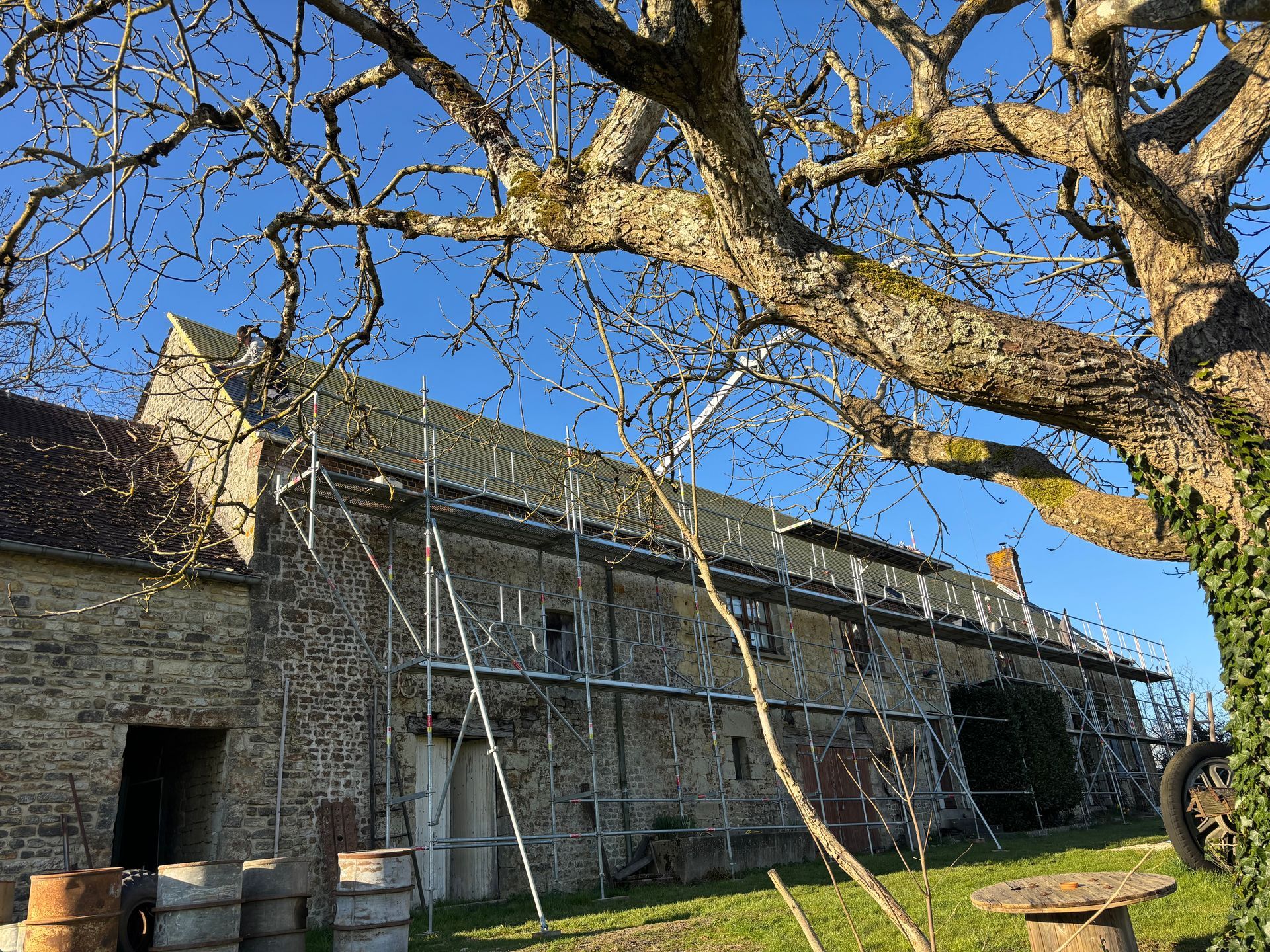 Rénovation du toit d'une ferme, vue sur un arbre