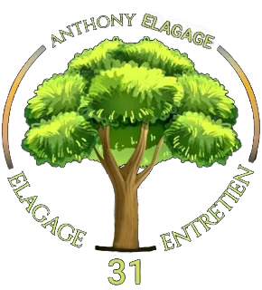 Logo de l'entreprise Anthony Élagage