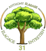 Logo de l'entreprise Anthony Élagage