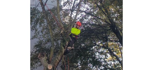 Ets Caron, entretien de jardins et paysagiste à Villeneuve-d'Ascq