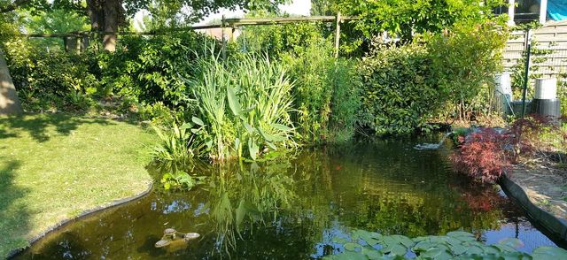 Ets Caron, entretien de jardins et paysagiste à Villeneuve-d'Ascq