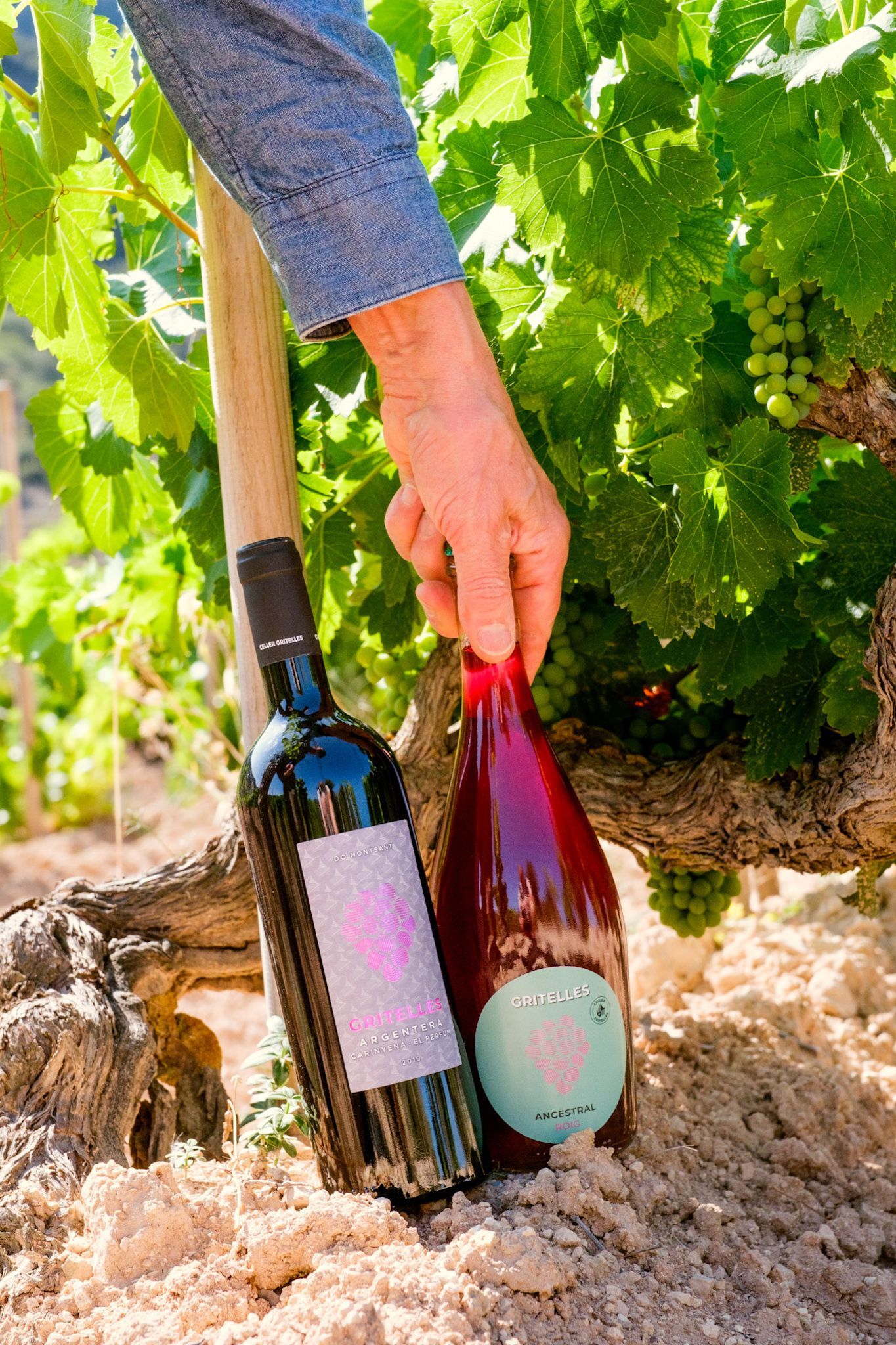 Una persona está recogiendo una botella de vino del suelo.