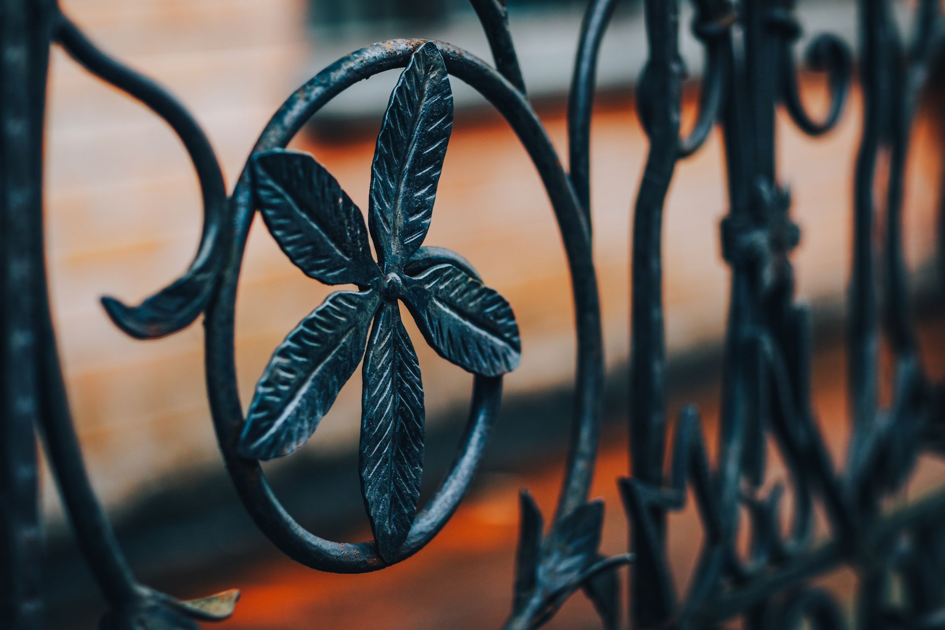 Gros plan d'une clôture en fer forgé noir ornée de motifs floraux.