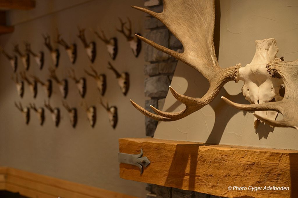 Ristorante Alfredo in Adelboden