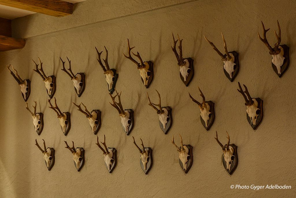 Ristorante Alfredo in Adelboden