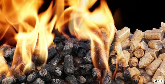 Des flammes engloutissent des granulés de bois carbonisés et non brûlés.