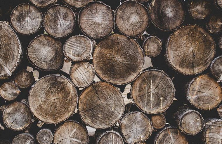 Pile de bûches empilées, sectionnées transversalement, de tailles variées, dans des tons de brun et de gris.