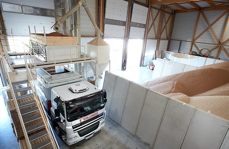 Camion chargé de céréales dans un entrepôt, machines au-dessus, grand tas de céréales.