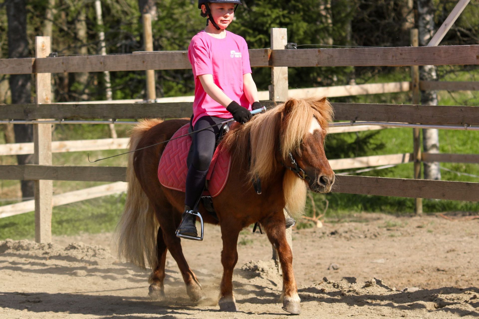 Nalle
