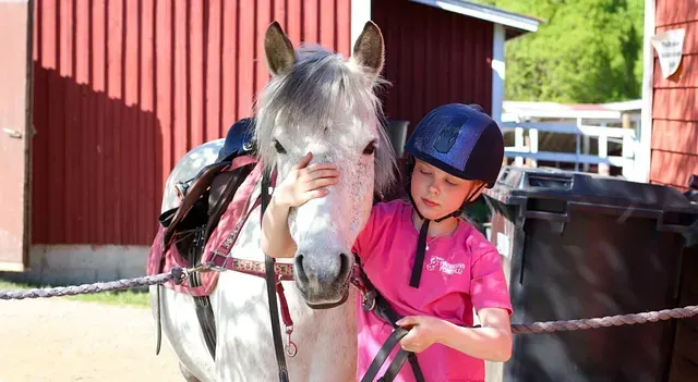Olemme Suomen ratsastajainliiton
hyväksymä ja valvoma talli.