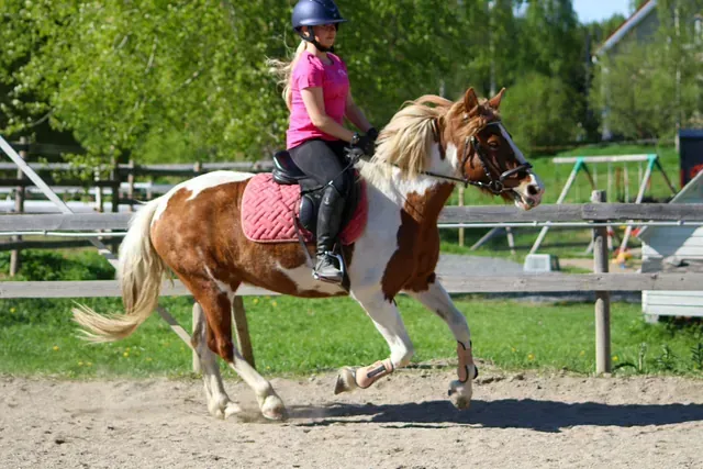 Epona