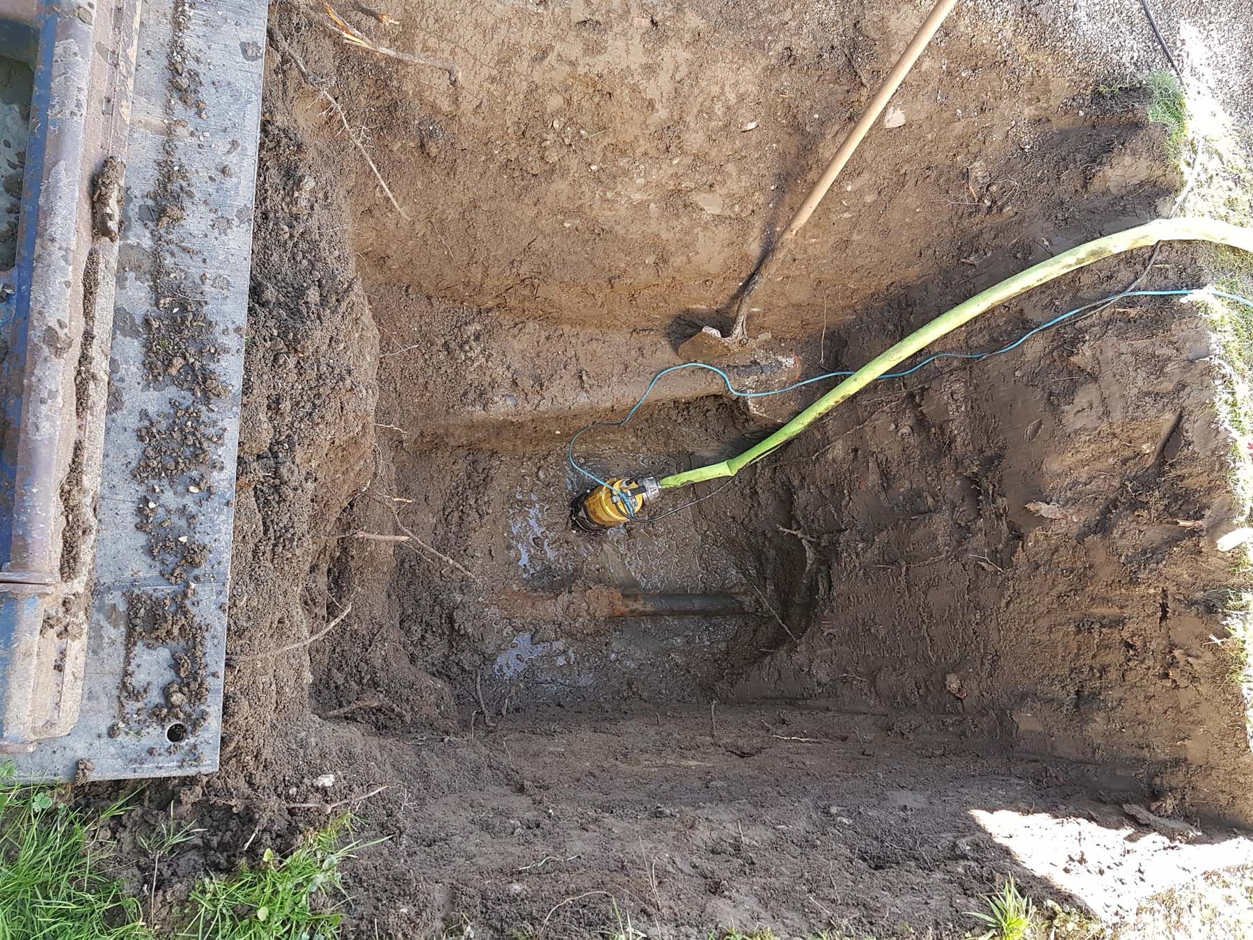 Gartenunterhalt - Morgenthaler Gartenbau in Busswil b. Melchnau