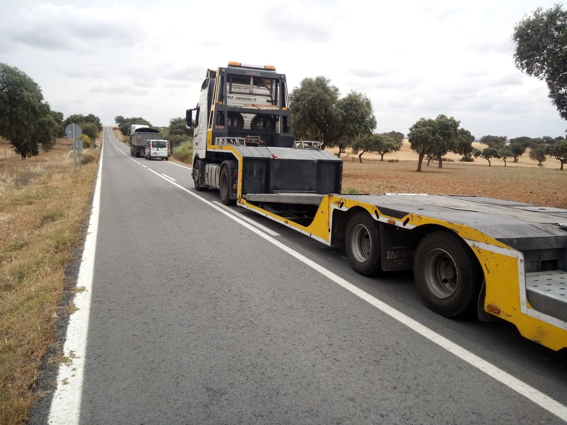 Un camión semirremolque amarillo circula por una carretera