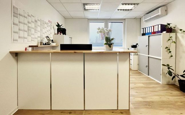 Büro mit Pflanzen und Regalen sowie Tresen