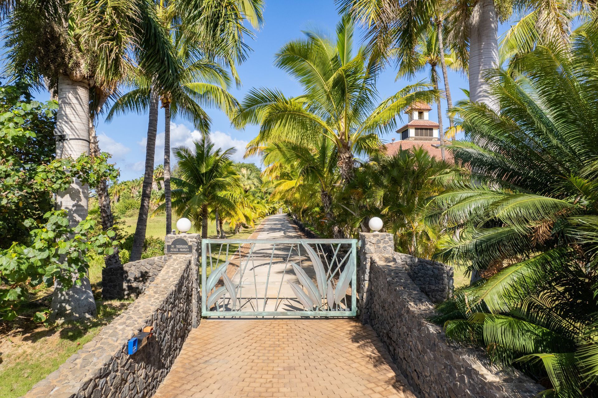 A gated driveway surrounded by palm trees and a stone wall