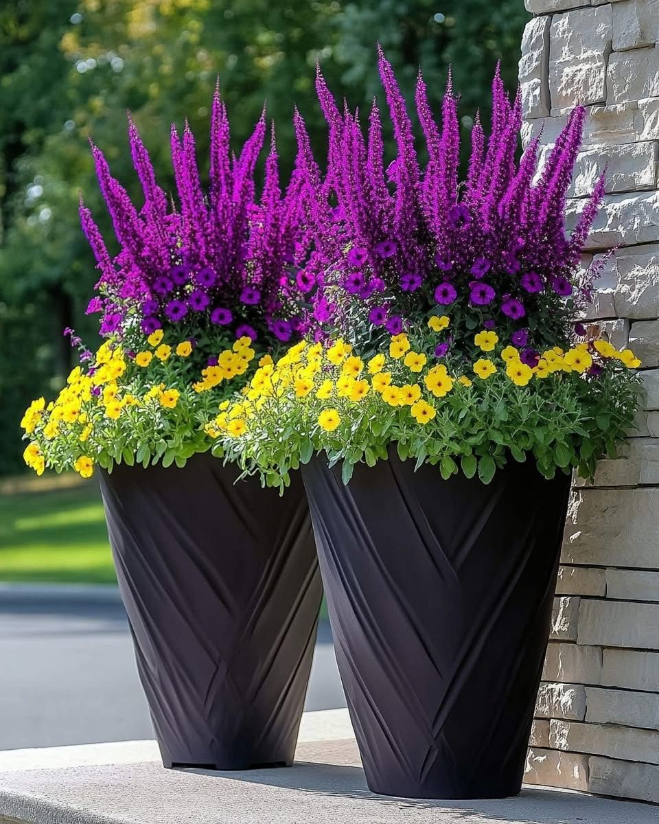 Agencement de pots de fleurs
