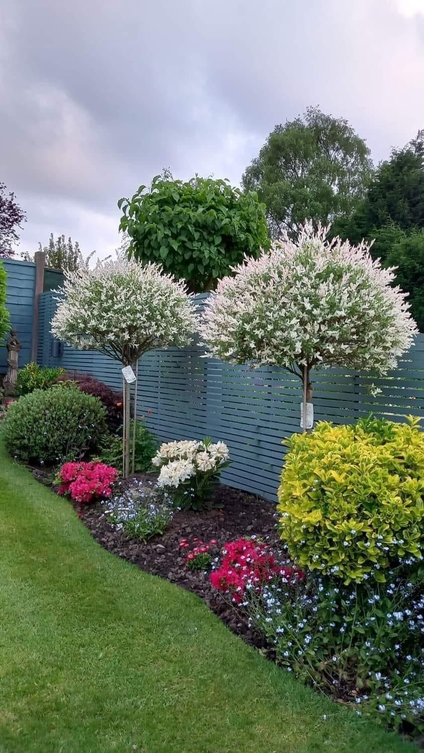 Aménagement de jardin