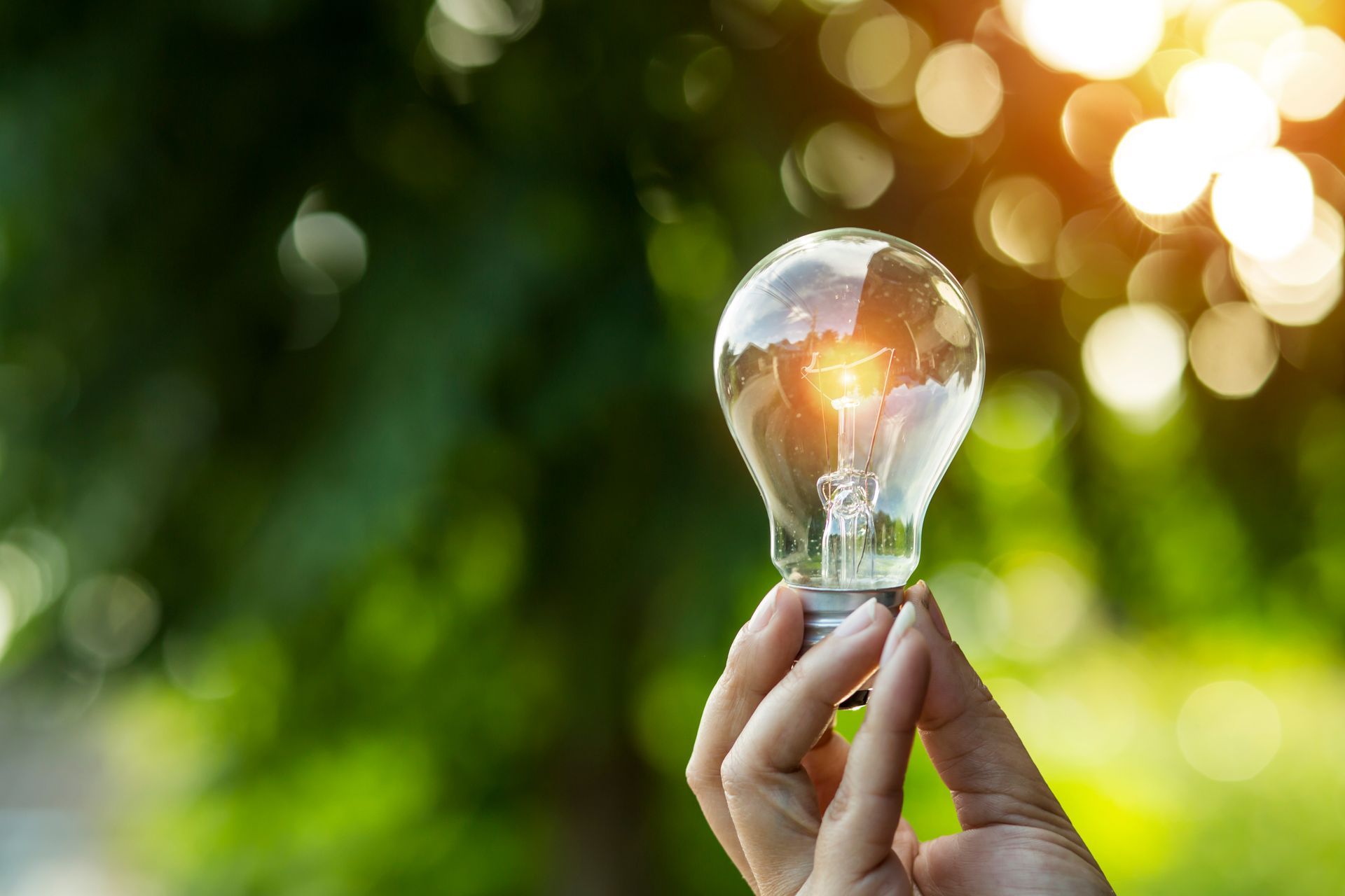 Ampoule tenue à la main