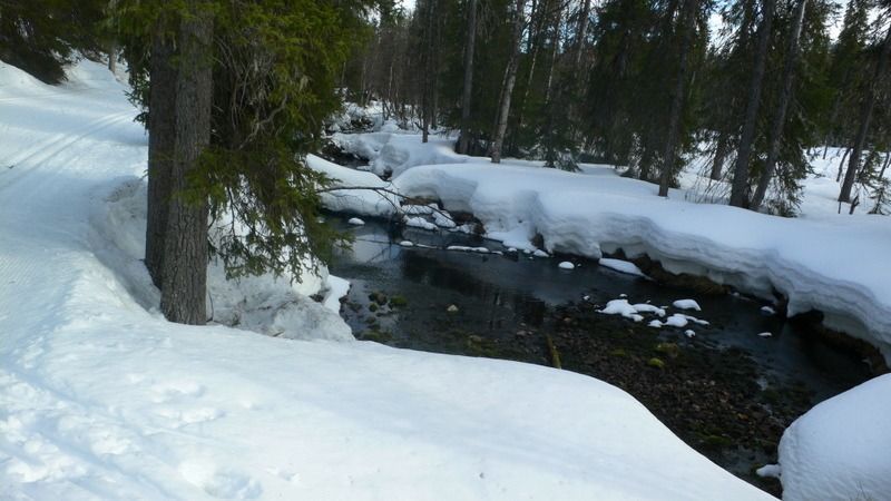 levinalppihuoneistot