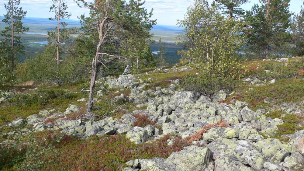 levinalppihuoneistot