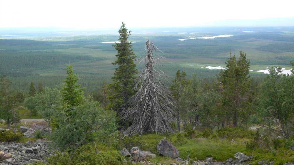 levinalppihuoneistot