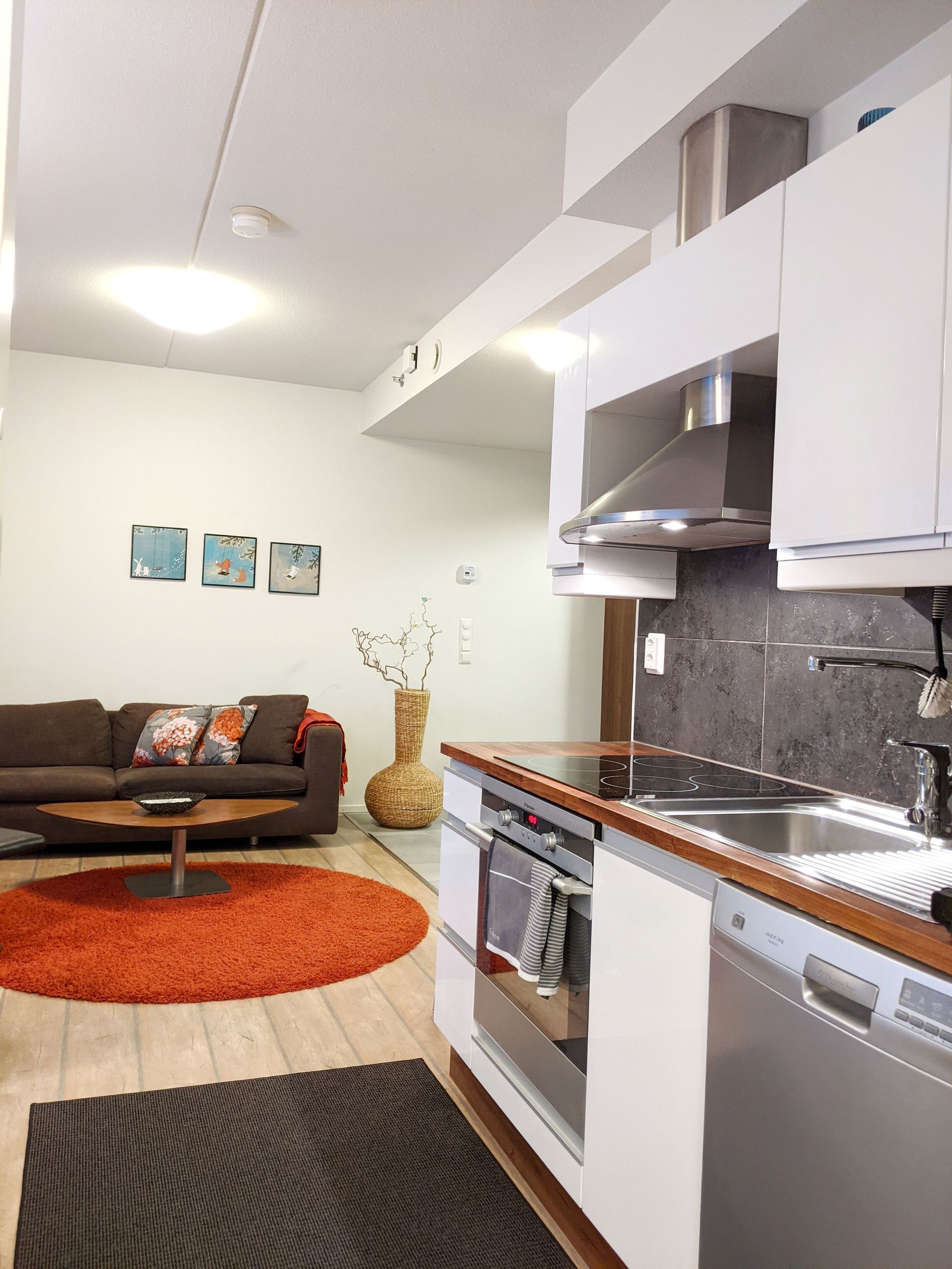 levinalppihuoneistot