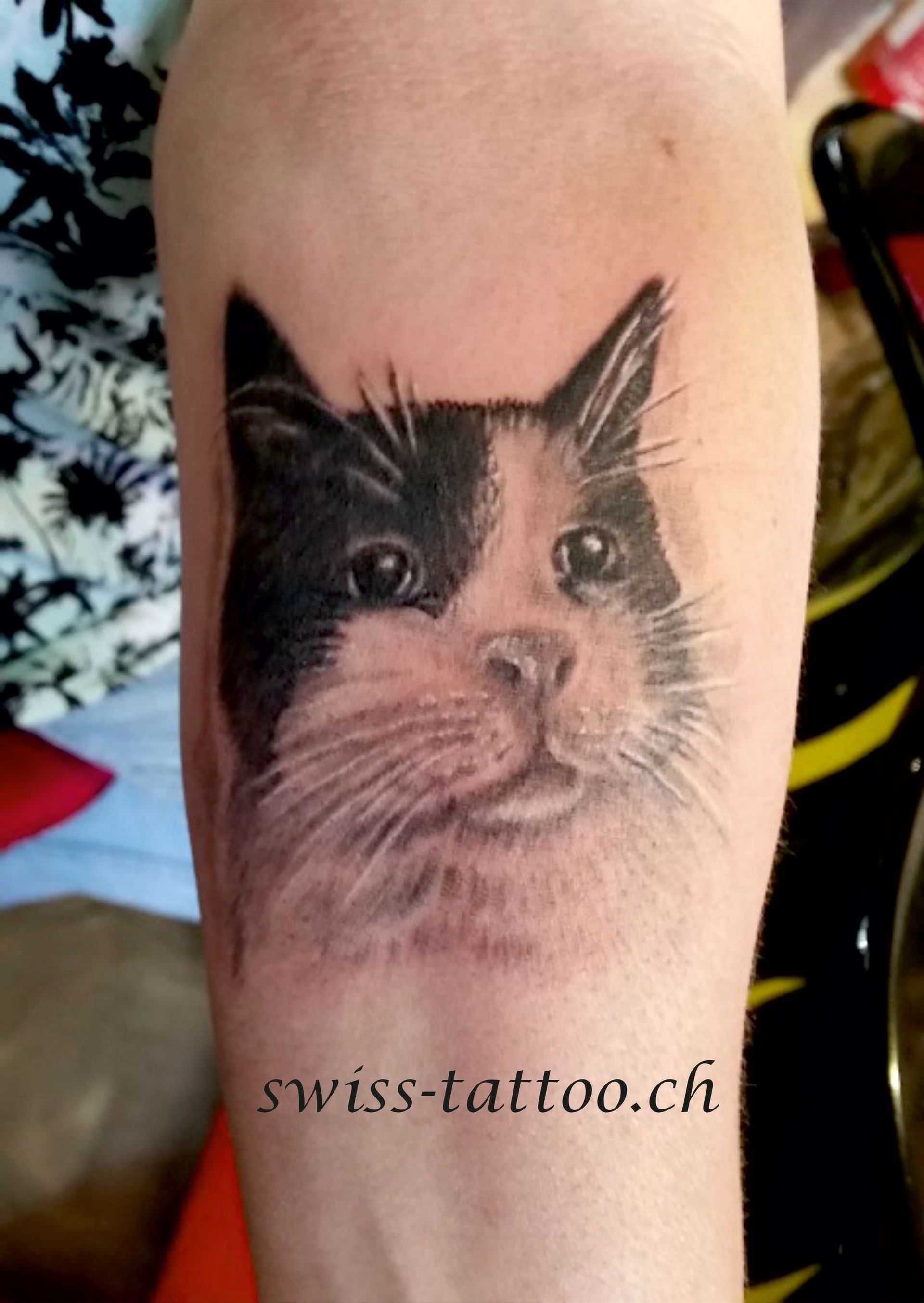 Traditional Tattoo Oldschool Reality Tattoo