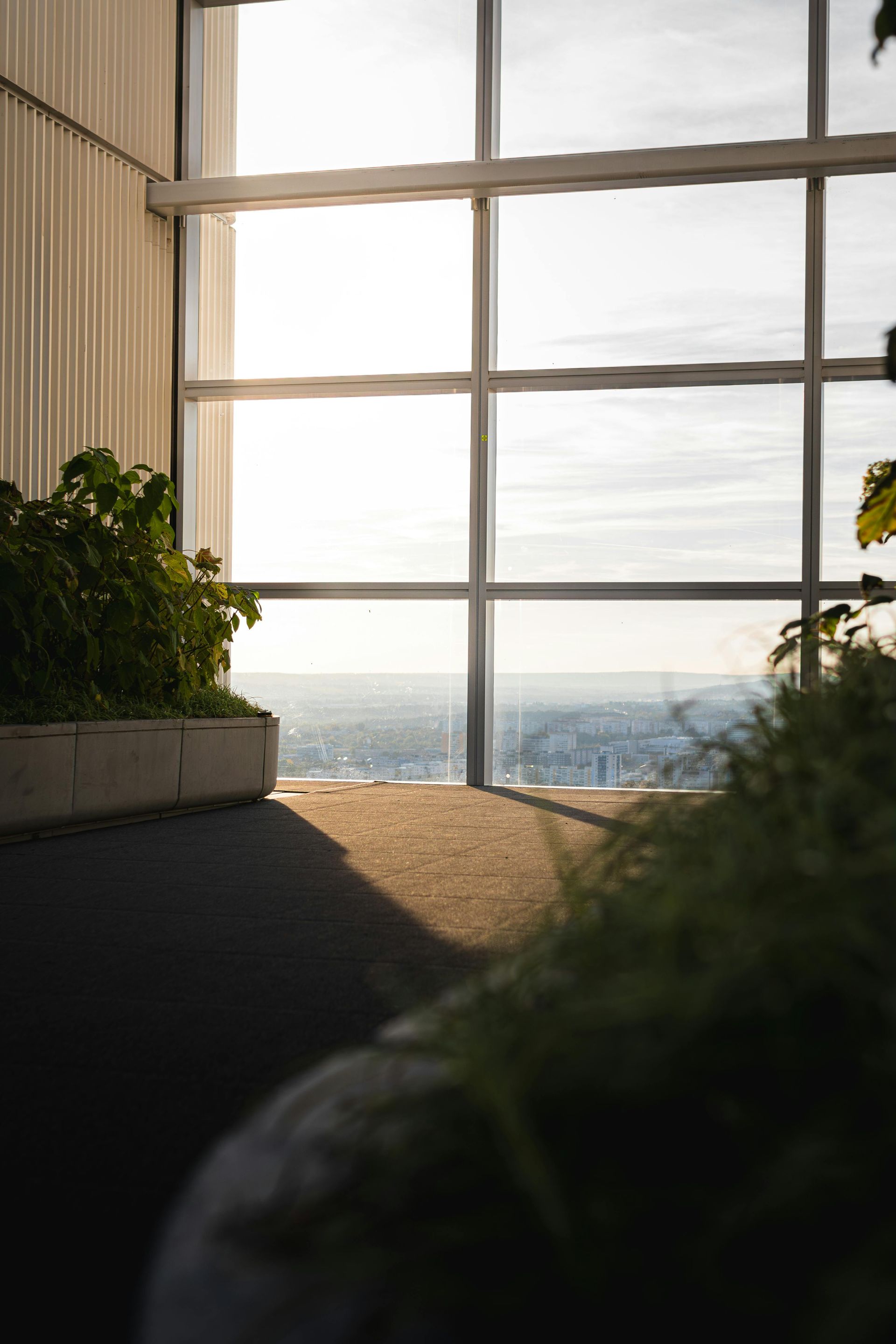 Cour intérieure baignée de soleil, agrémentée de plantes en pot et d'une baie vitrée.