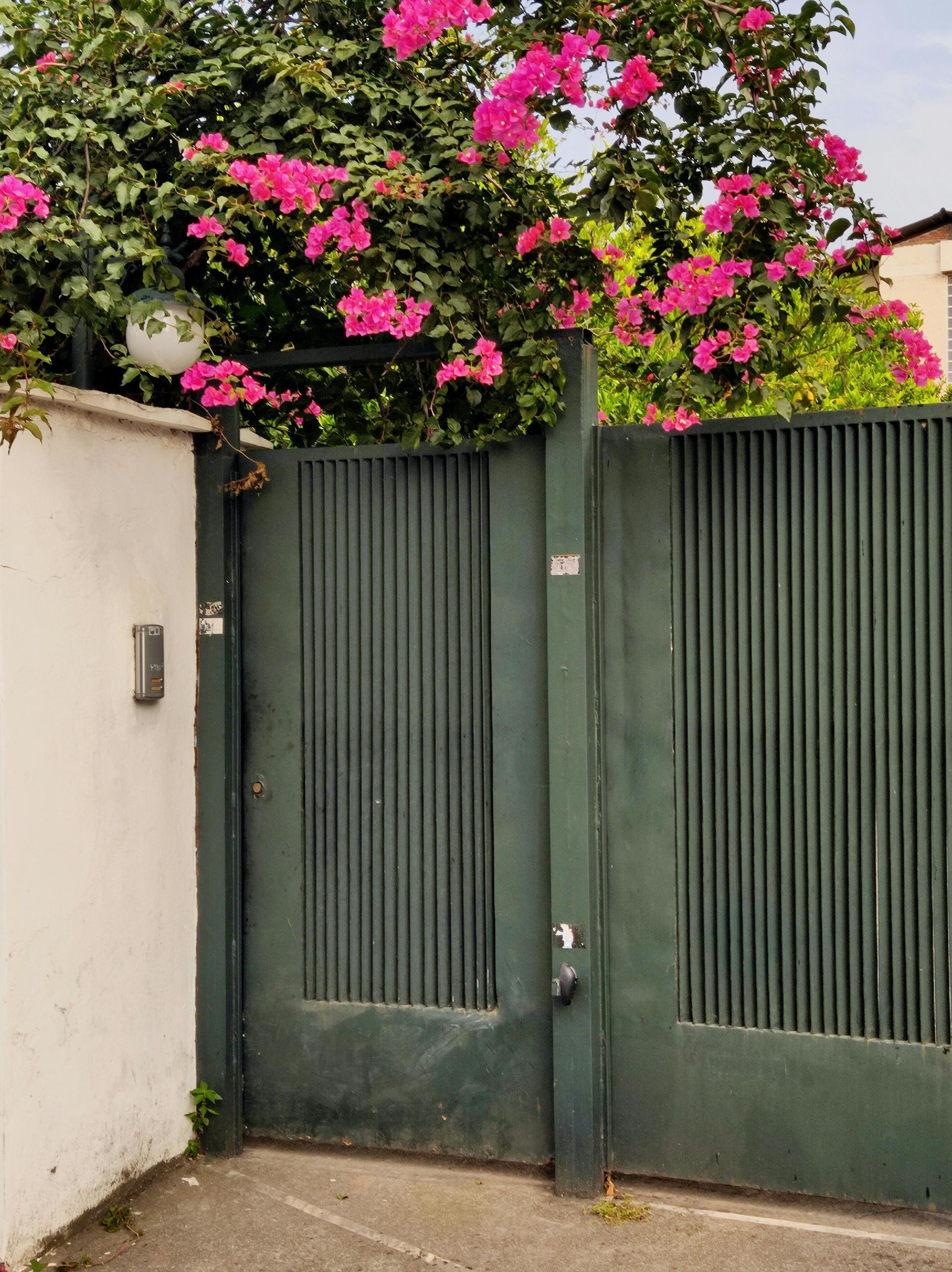 Portail à côté d'un arbuste fleuri.