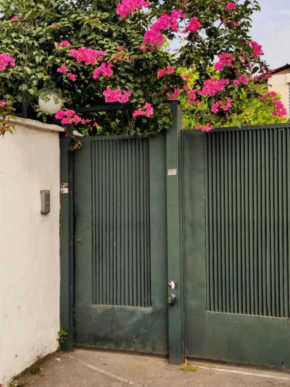 Portail vert à côté d'un arbuste fleuri.