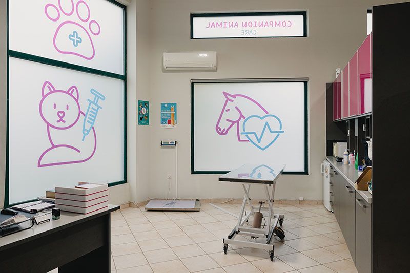 Εξεταστήριο - Companion Animal Care