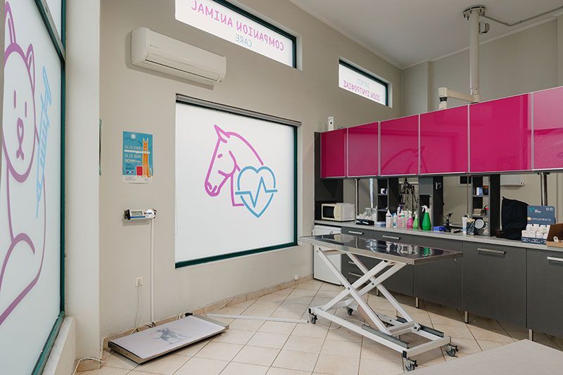 Εξεταστήριο - Companion Animal Care