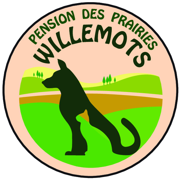 Pension chiens et chats à Lille, Pension des Prairies Willemots