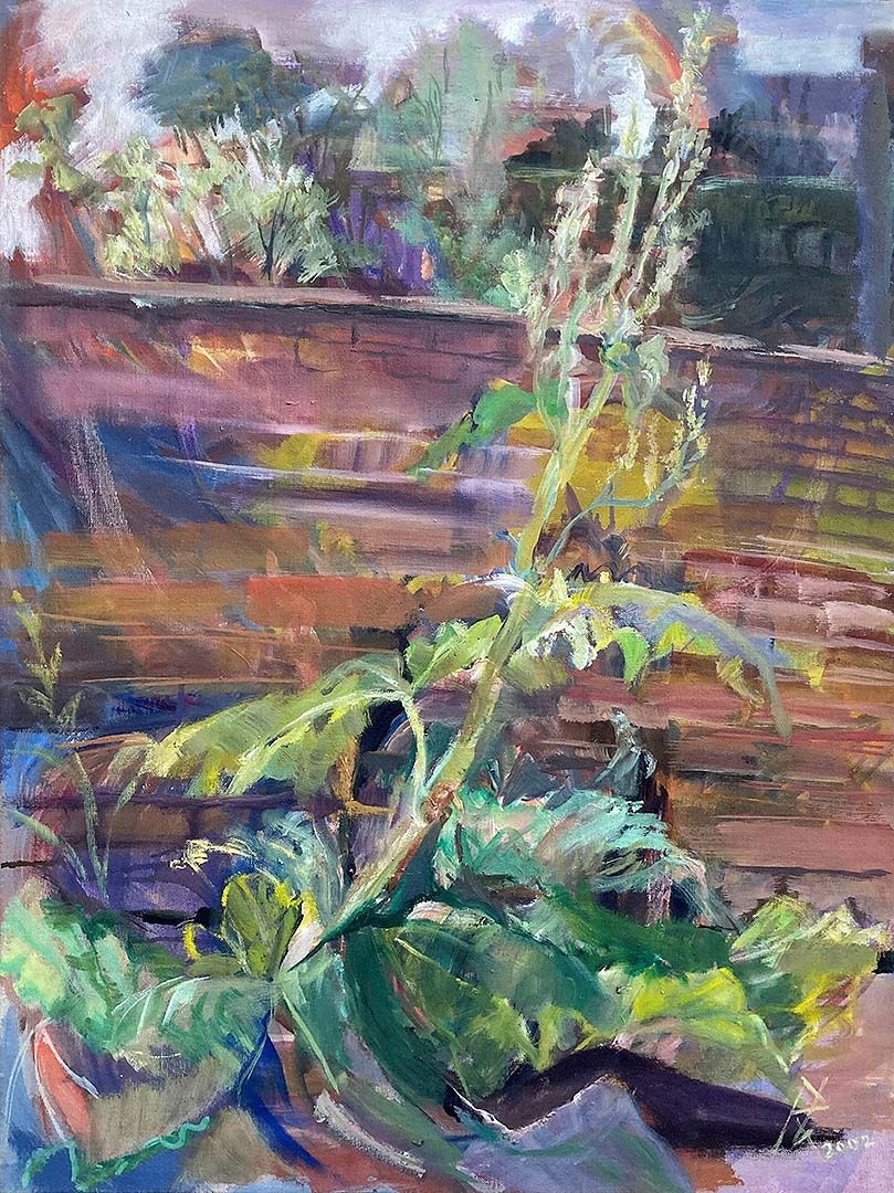 Rhabarber, 80  x  60 cm, 2002