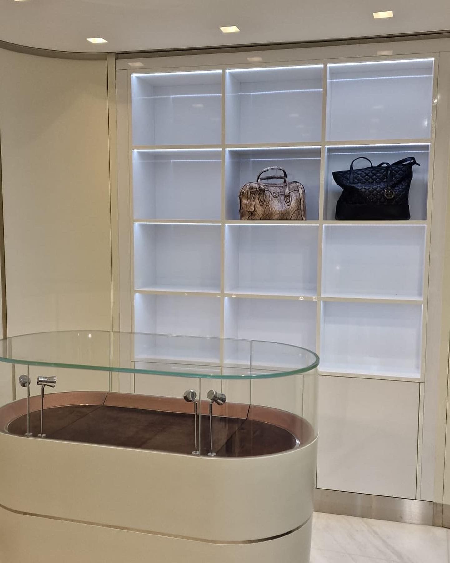 Eine Ausstellung von Handtaschen in einem Geschäft mit einer Glastheke