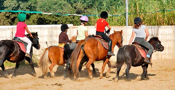 Pensions pour chevaux - Centre équestre
