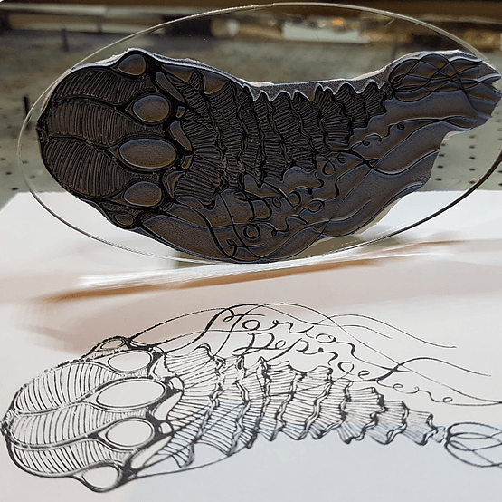 Photo d'un tampon d'une méduse