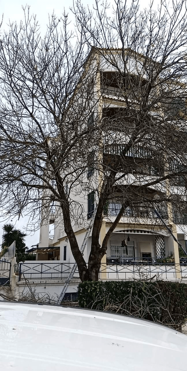 Um grande edifício com uma árvore na frente.