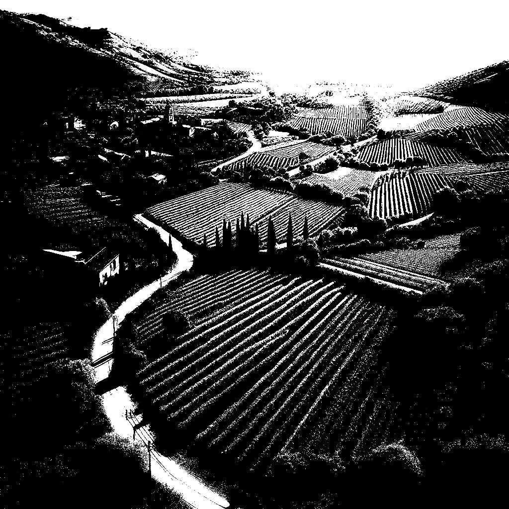 Vue d’un géomètre travaillant dans un domaine viticole à La Londe-les-Maures, avec les collines en arrière-plan.