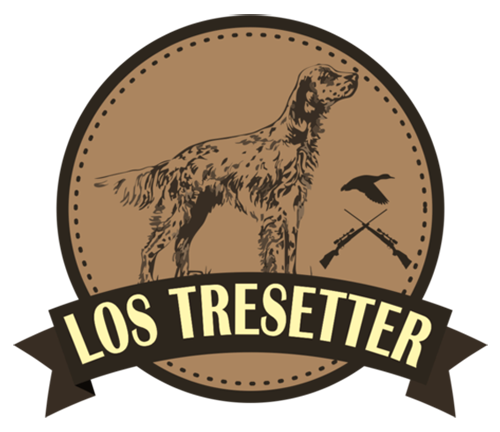 logotipo cabecera