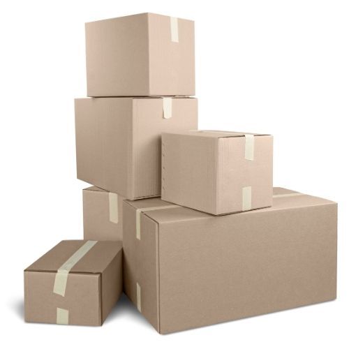 Paseo costero con palmeras, edificios y un castillo en lo alto de una colina rocosa bajo un cielo azul.