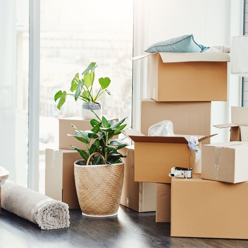 Mano que alcanza una caja de cartón en un estante de un almacén.