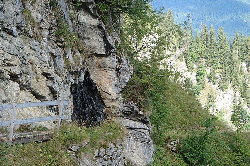 Spiezer Gschichtewyb